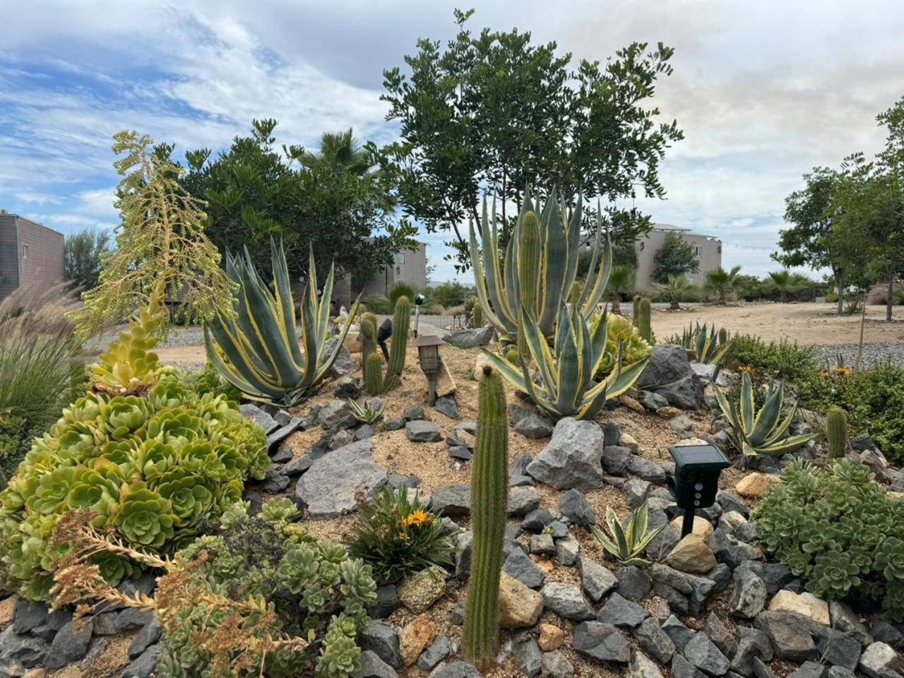Rincon Del Corazon Villa Valle de Guadalupe Buitenkant foto