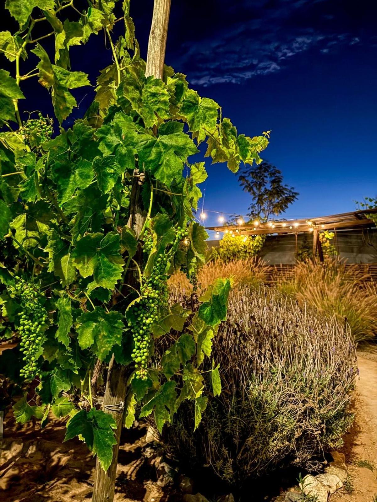 Rincon Del Corazon Villa Valle de Guadalupe Buitenkant foto
